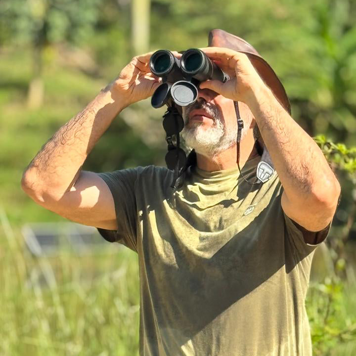 Birdwatching at Dawn or Dusk