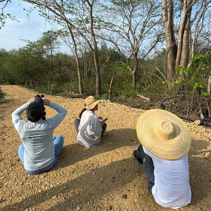 Birdwatching at Dawn or Dusk