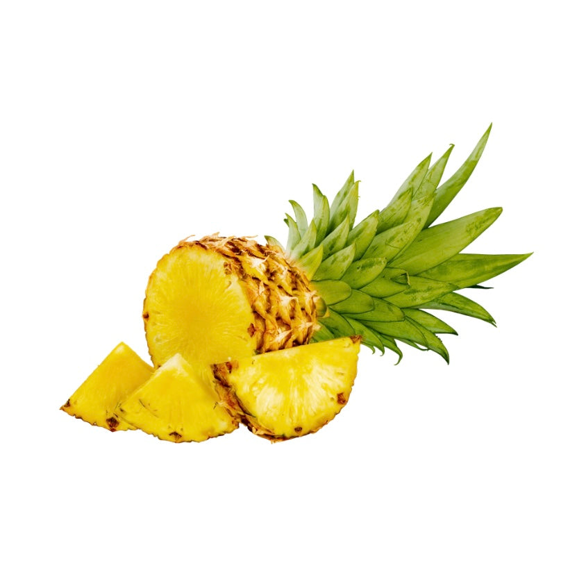 Piña (Ananas comosus)