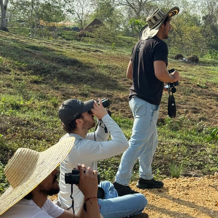 Birdwatching at Dawn or Dusk