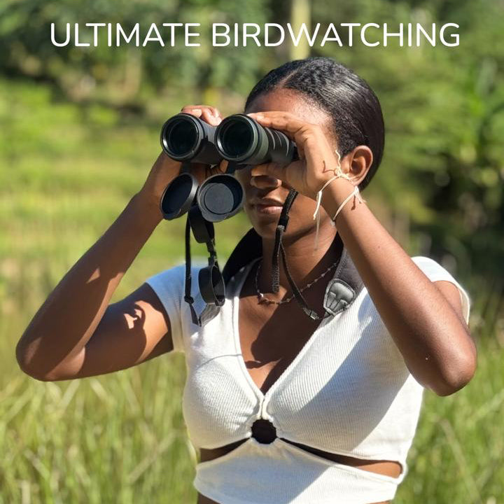 Birdwatching at Dawn or Dusk