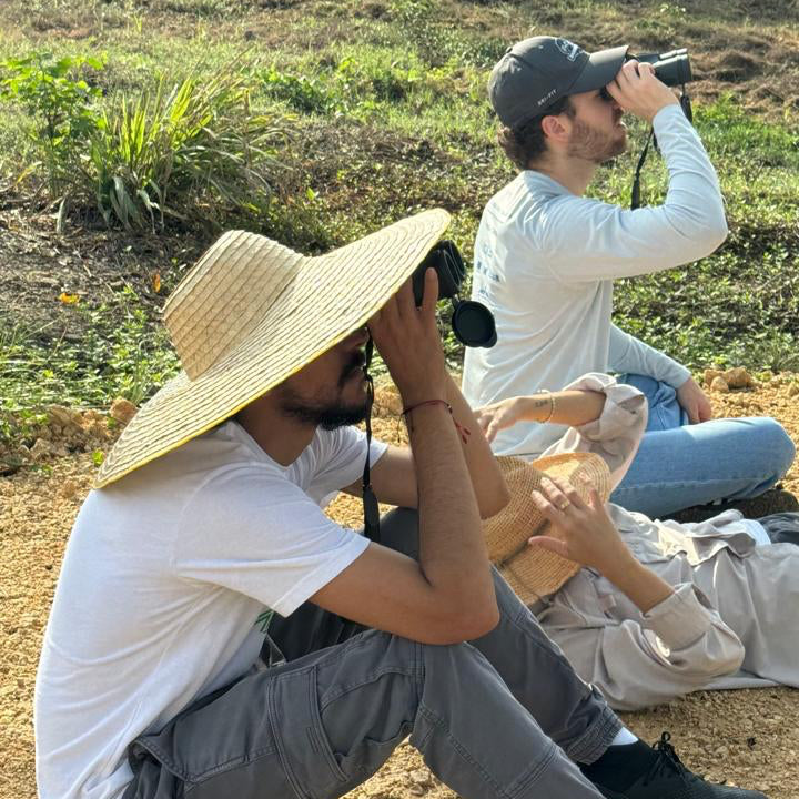 Birdwatching at Dawn or Dusk