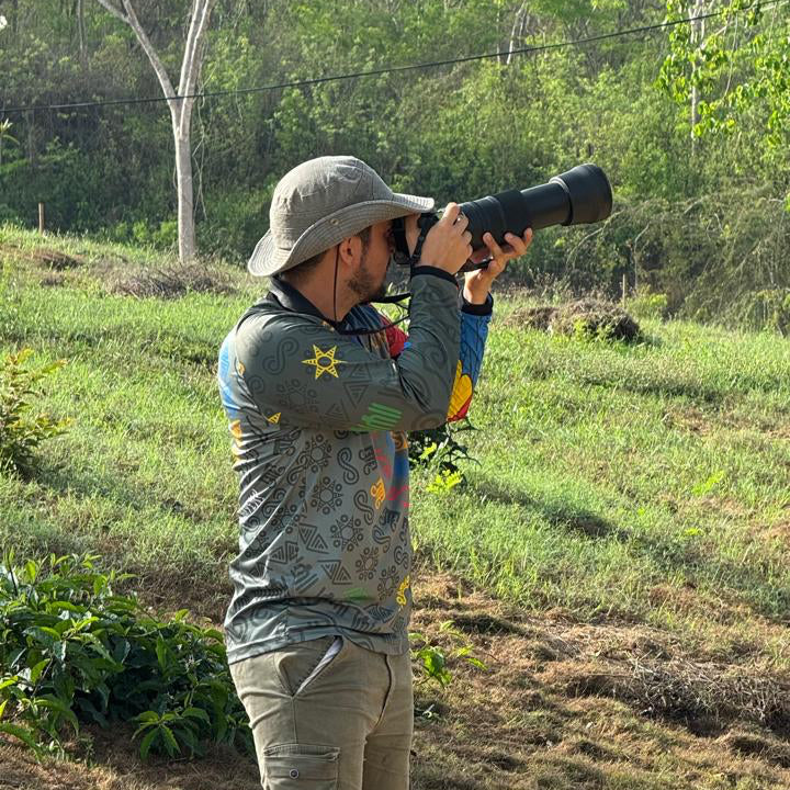 Birdwatching at Dawn or Dusk 