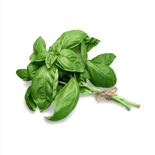 Basil