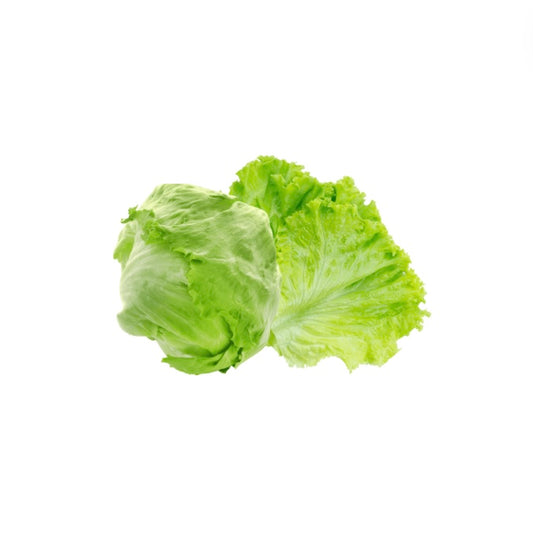 Lechuga