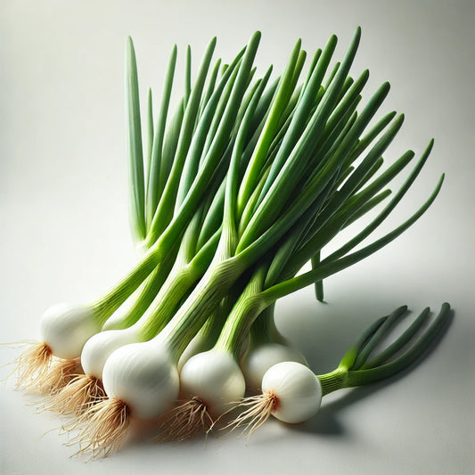 Long onion