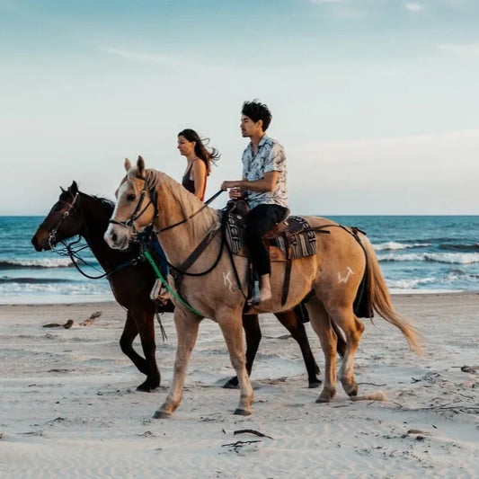 Horseback riding on the beach